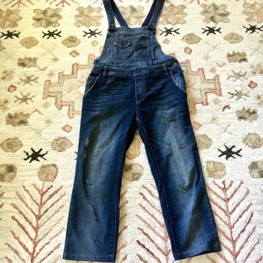 Free People Denim Dark wash overalls 28
